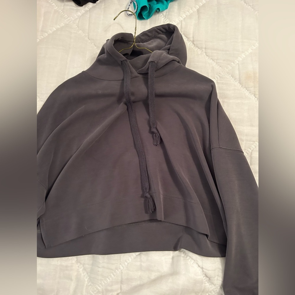 altard state cropped athletic hoodie